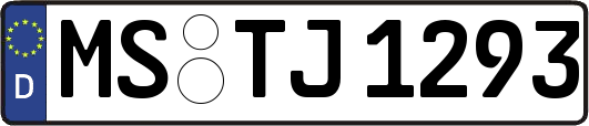 MS-TJ1293
