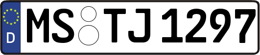 MS-TJ1297
