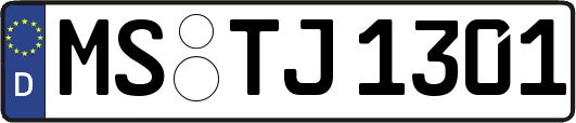 MS-TJ1301