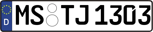 MS-TJ1303