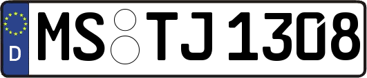 MS-TJ1308