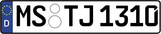 MS-TJ1310