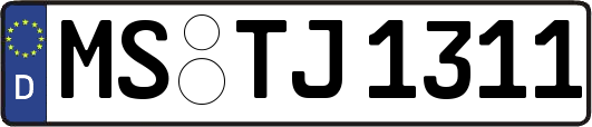 MS-TJ1311