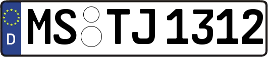 MS-TJ1312