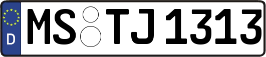 MS-TJ1313