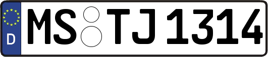 MS-TJ1314