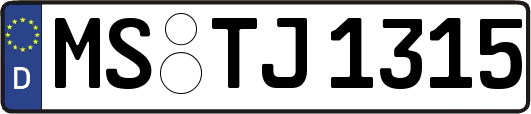 MS-TJ1315