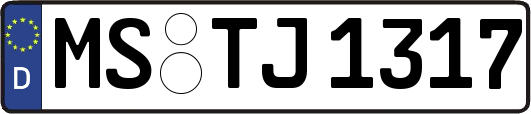 MS-TJ1317