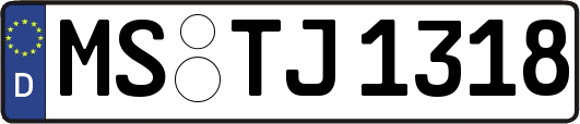 MS-TJ1318