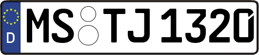 MS-TJ1320