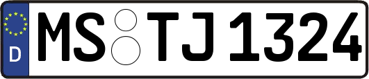 MS-TJ1324