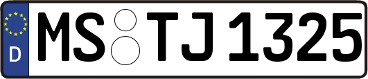 MS-TJ1325