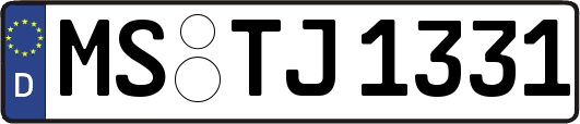MS-TJ1331