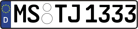 MS-TJ1333