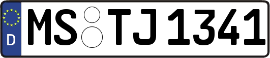 MS-TJ1341