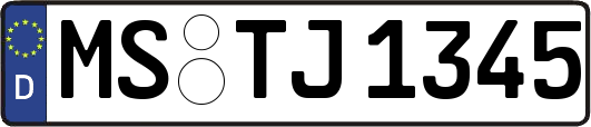 MS-TJ1345