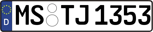 MS-TJ1353