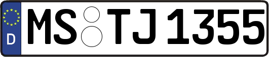MS-TJ1355