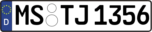 MS-TJ1356