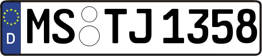 MS-TJ1358