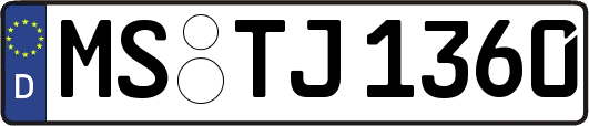 MS-TJ1360