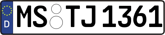 MS-TJ1361