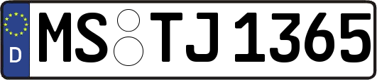 MS-TJ1365