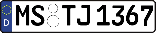 MS-TJ1367
