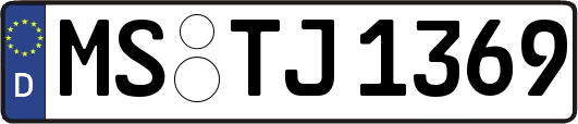 MS-TJ1369