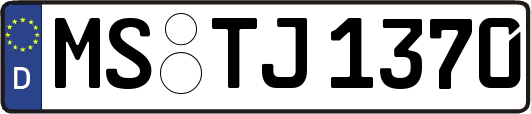 MS-TJ1370