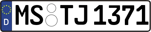 MS-TJ1371