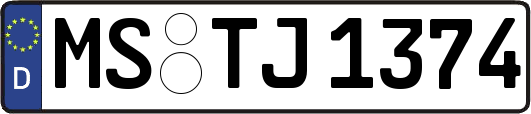 MS-TJ1374