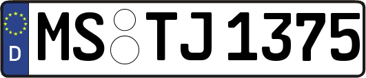 MS-TJ1375
