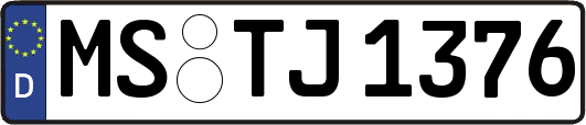 MS-TJ1376