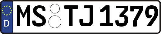 MS-TJ1379