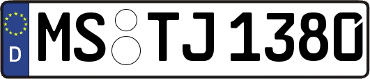 MS-TJ1380