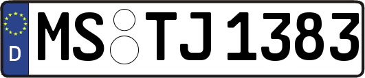 MS-TJ1383