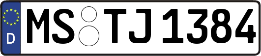 MS-TJ1384
