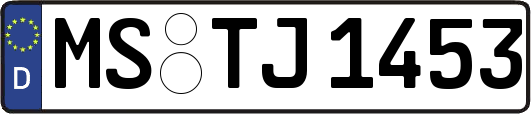 MS-TJ1453