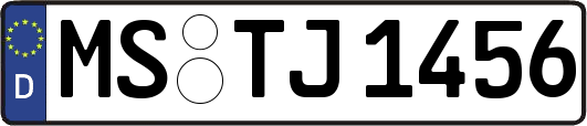 MS-TJ1456