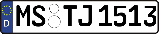 MS-TJ1513