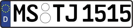 MS-TJ1515