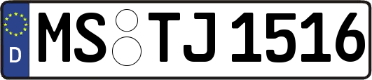 MS-TJ1516