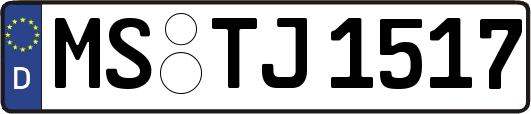 MS-TJ1517