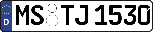 MS-TJ1530