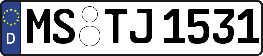 MS-TJ1531