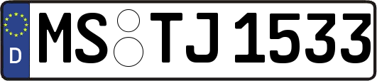 MS-TJ1533