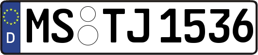 MS-TJ1536