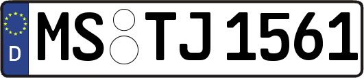 MS-TJ1561