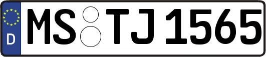 MS-TJ1565